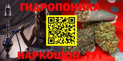 ПСИЛОЦИБИНОВЫЕ ГРИБЫ Будённовск