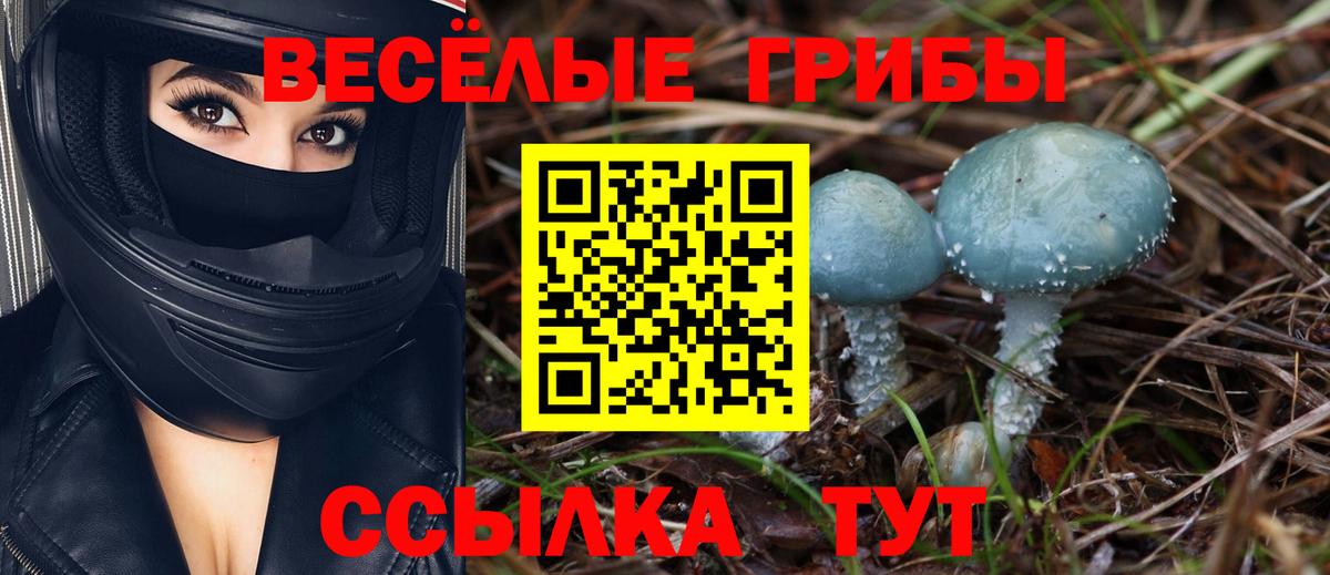 Псилоцибиновые грибы MAGIC MUSHROOMS Минеральные Воды