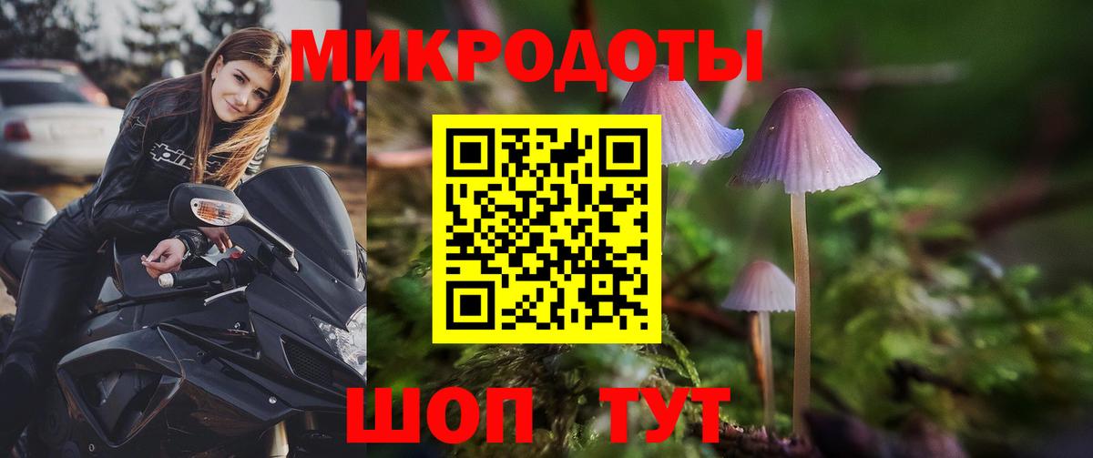 Псилоцибиновые грибы MAGIC MUSHROOMS  Вход с VPN  Минеральные Воды 
