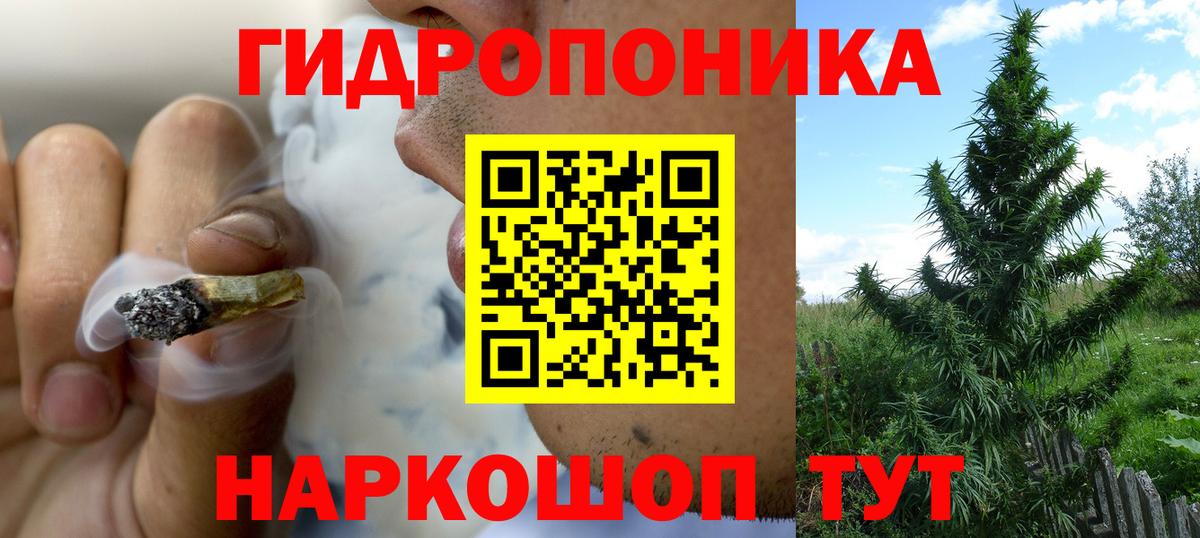 Минеральные Воды  Конопля OG Kush  Вход с VPN  Каннабис план  Бошки Шишки LSD WEED 